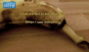 Vous n'imaginez pas ce qu'il se cache dans cette banane