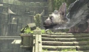 THE LAST GUARDIAN - Official Trailer E3 2015 [HD]