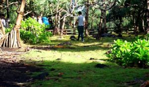 Slackline : Traversée extrême sur l'île de La Réunion