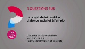 [Questions sur] Projet de loi relatif au dialogue social et à l'emploi