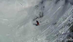 Un lièvre traverse une avalanche