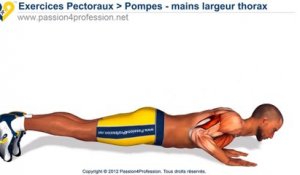 Musculation Pectoraux Pompes