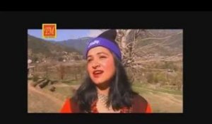 Lal Chidiye Seri | New Himachali  Song | TM Music