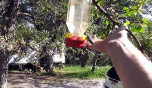 Aider un petit colibris piégé dans un réservoir d'eau