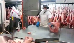 Un boucher rapide découpe des carcasses de porcs