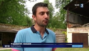 La visite des vignobles de Bourgogne en Solex