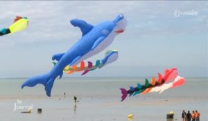 Cerf-volant acrobatique : 13e festival A Tout Vent en Vendée