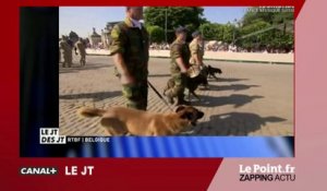 Face à la menace terroriste, les policiers belges refusent de défiler - zapping du 17 juillet