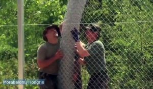 La Hongrie érige une clôture anti-immigration sur sa frontière serbe