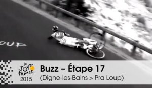 Buzz du jour / Buzz of the day - Van Garderen abandons and Pinot & Contador crashed - Étape 17 (Digne-les-Bains > Pra Loup) - Tour de France 2015
