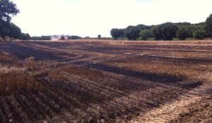 Trois hectares de blé brûlés à Saint-Berthevin