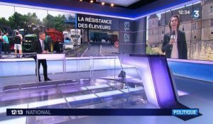 Crise des éleveurs : François Hollande et Manuel Valls mobilisés