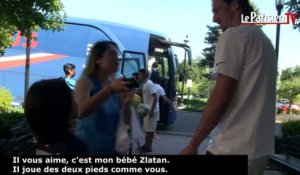 PSG : la déclaration d'une admiratrice à Zlatan Ibrahimovic