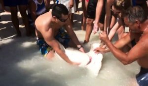 Sauvetage d'un requin-marteau par deux touristes en Floride