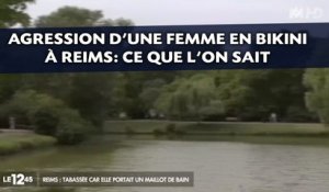 Agression d'une femme en bikini à Reims: Ce que l'on sait