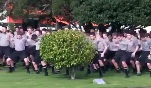 En Nouvelle-Zélande, en l'honneur de leur professeur décédé, 1.700 élèves effectuent un haka