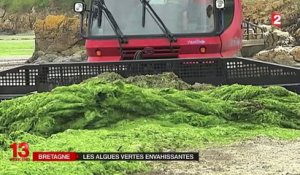 Les algues vertes ont envahi les côtes bretonnes
