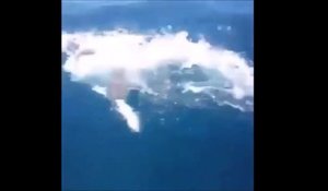 Un grand requin blanc attaque un poisson attrapé par des pecheurs - terrifiant!