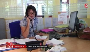 Canicule : l'est de la France souffre des fortes chaleurs