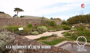 Made in France - A la découverte de l’Ile de Tatihou - 2015/08/11
