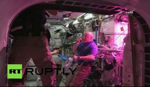 Les astronautes de l’ISS mangent leur première laitue cosmique