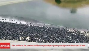 Etats-Unis: des milliers de petites balles en plastique pour protéger un réservoir d'eau