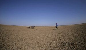 Au Botswana, la détresse des agriculteurs frappés par la sécheresse