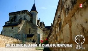 Mémoires - Sur les bords de la Loire, le château de Montsoreau - 2015/08/19