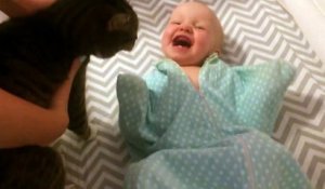 Un bébé adore le chat