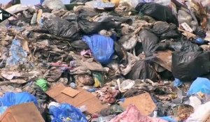 A Beyrouth, la crise des ordures illustre le ras-le-bol général