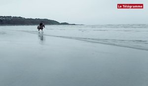 Plestin-les-Grèves (22). Galop d'essai sur la plage de Saint-Efflam