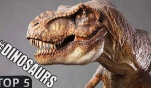 Funny DINO Commercials: Top 5 compilation