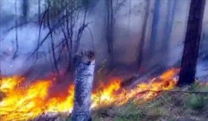 Des feux de forêts continuent de ravager les pourtours du lac Baïkal