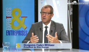 Grégoire Cabri-Wiltzer, Xerfi Canal Le management de transition
