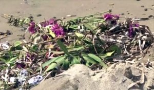 Un mémorial de fleurs érigé sur la plage où a échoué le petit Aylan