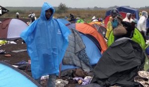 5 000 migrants se pressent à la frontière serbo-hongroise