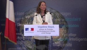 Affaire Volkswagen : Ségolène Royal annonce des «tests aléatoires» sur des voitures en France