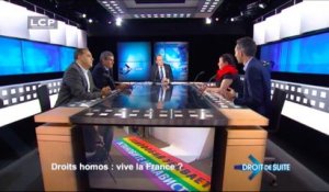 Droit de suite : Droits homos : vive la France ?