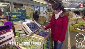 Gourmand - Fruits et légumes d’automne à Rungis - 2015/09/30