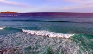 Un drone immortalise le passage de baleines en Australie