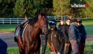 Prix de l'Arc de Triomphe : Trêve prête pour un triplé historique