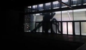 Une terrifiante araignée géante à la Nuit Blanche 2015
