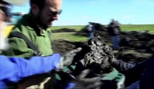 Un fermier du Michigan découvre un squelette de mammouth sur son terrain