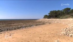 Vendée/Grande marées : Un coefficient de 117 sur le littoral