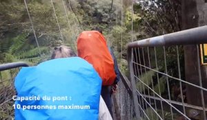 Ces Français qui ont Survécu à l'Effondrement d'un Pont Suspendu Néo-Zélandais
