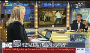 Agriculture: Stéphane Le Foll confirme une baisse de cotisations pour les agriculteurs en 2015 – 20/10