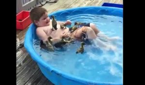 Ce petit garçon jouant avec des canards pourrait bien être le plus heureux enfant du monde