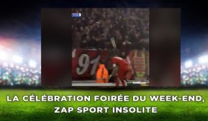 La célébration foirée du week-end, zap sport insolite