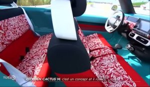 Essai : Citroën Cactus M Concept (Emission Turbo du 01/11/2015)