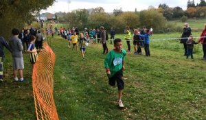 Ugsel. Cross départemental des collégiens